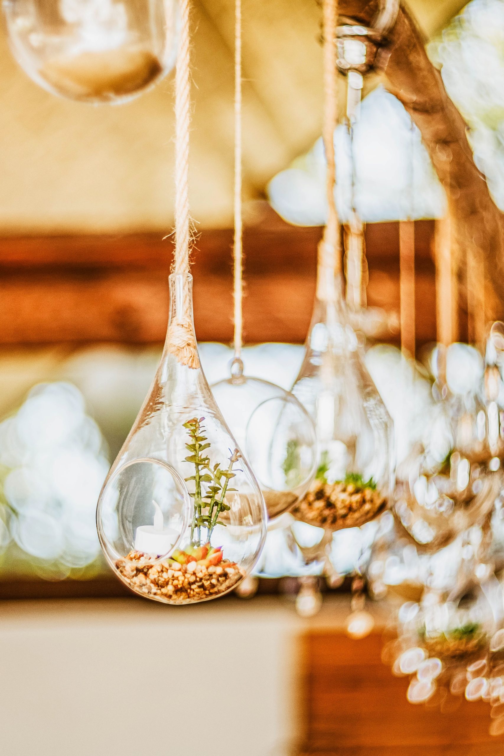 Close-up of glass hanging terrariums with succulents, providing a green indoor decoration solution.