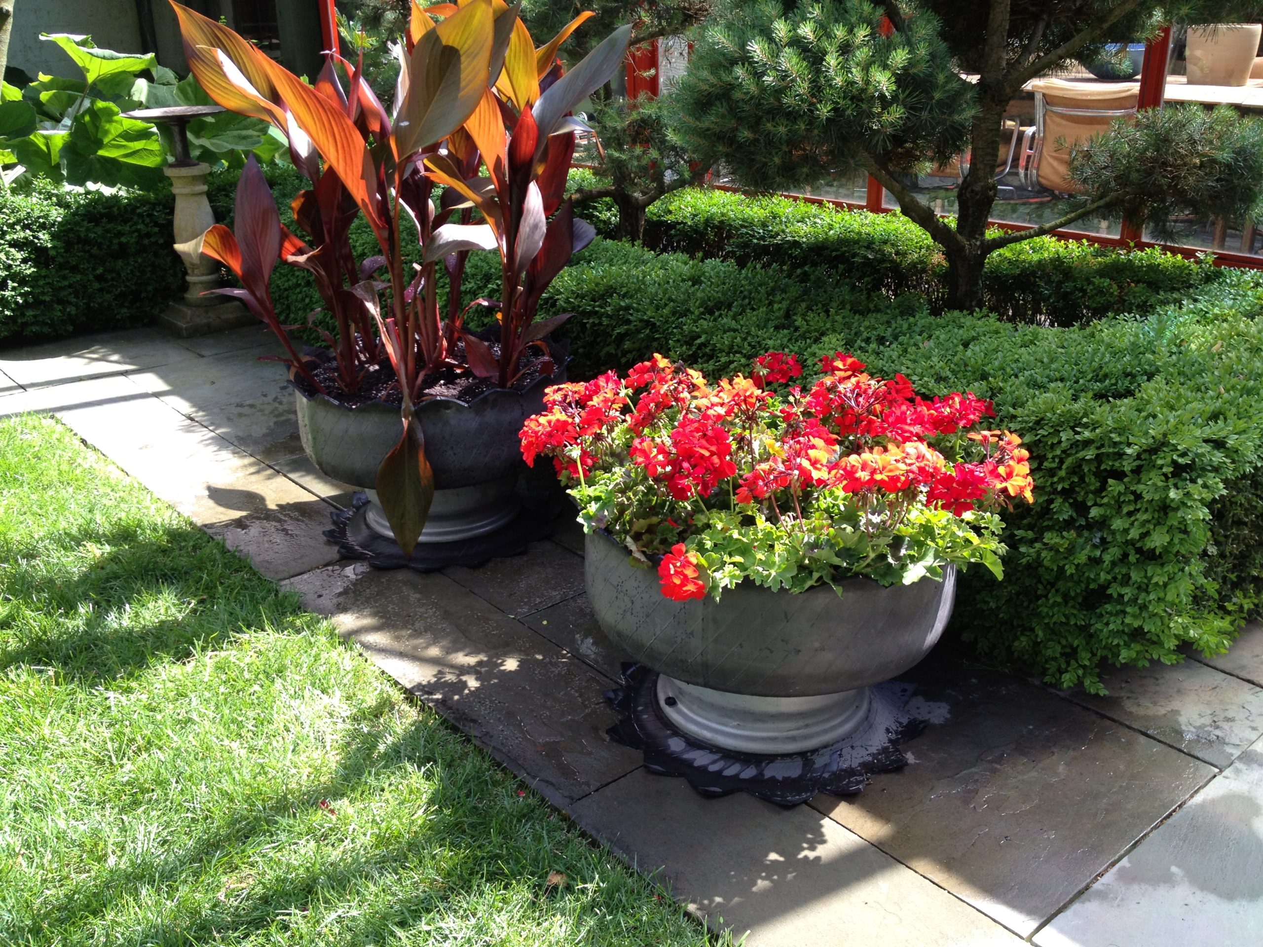 Contemporary Container Plantings | Deborah Silver & Co.