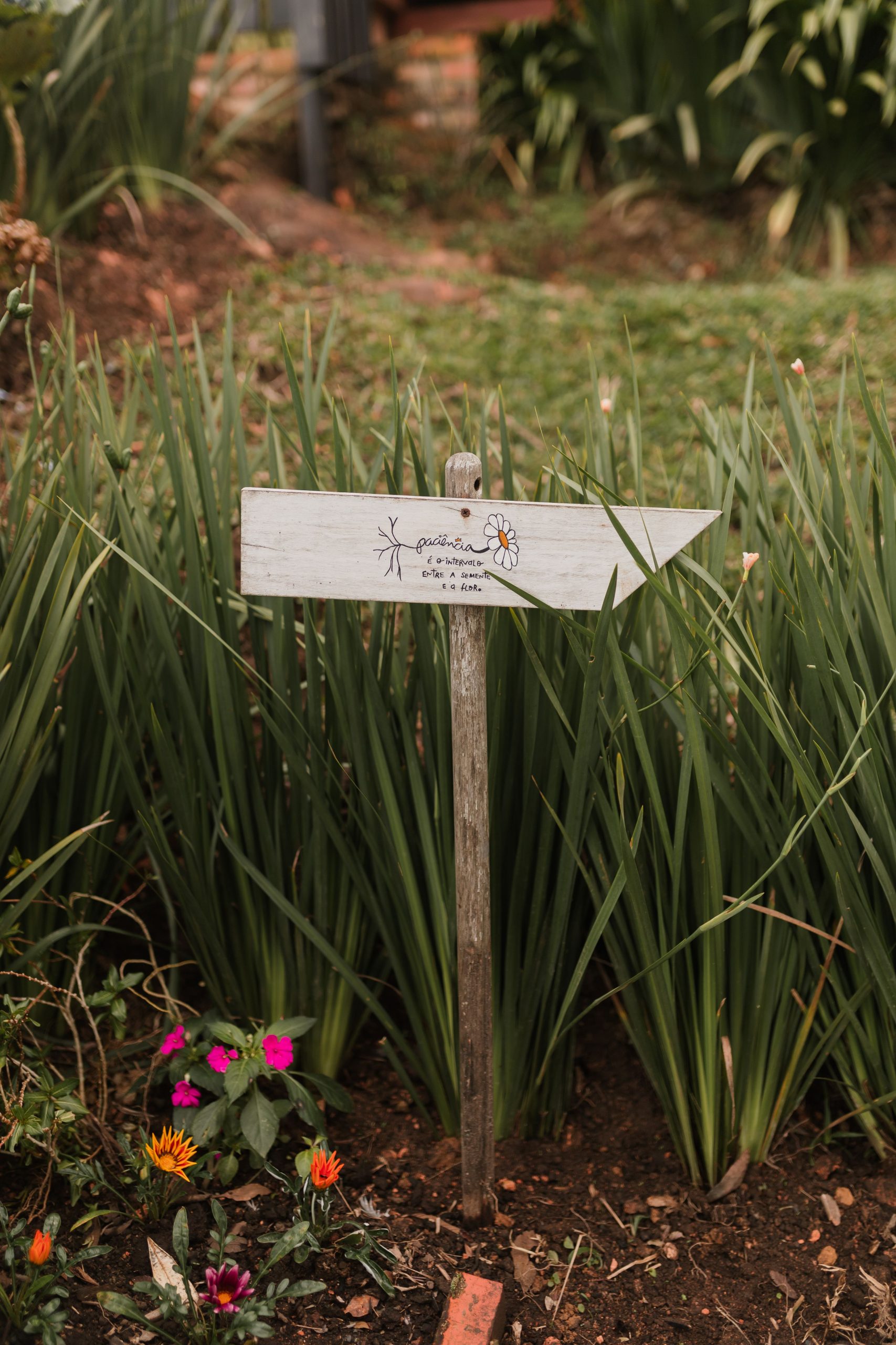 Cozy garden scene with a rustic wooden sign surrounded by lush plants and vibrant flowers.