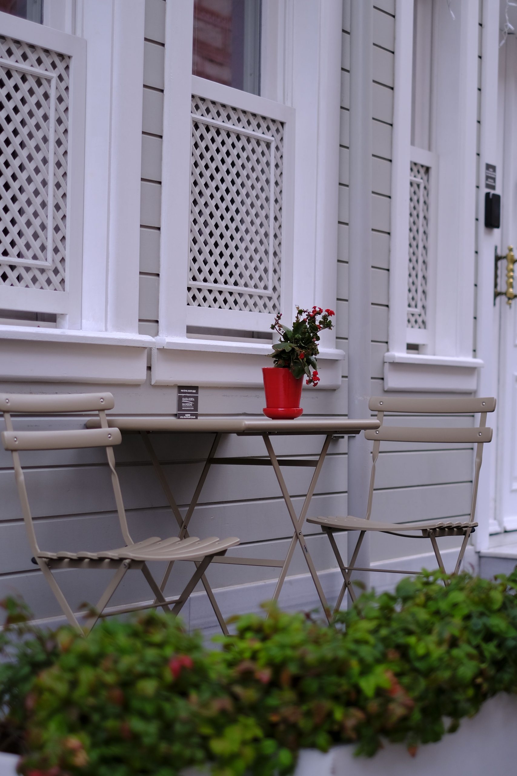 Cozy outdoor patio with a table, chairs, and a vibrant red potted plant.
