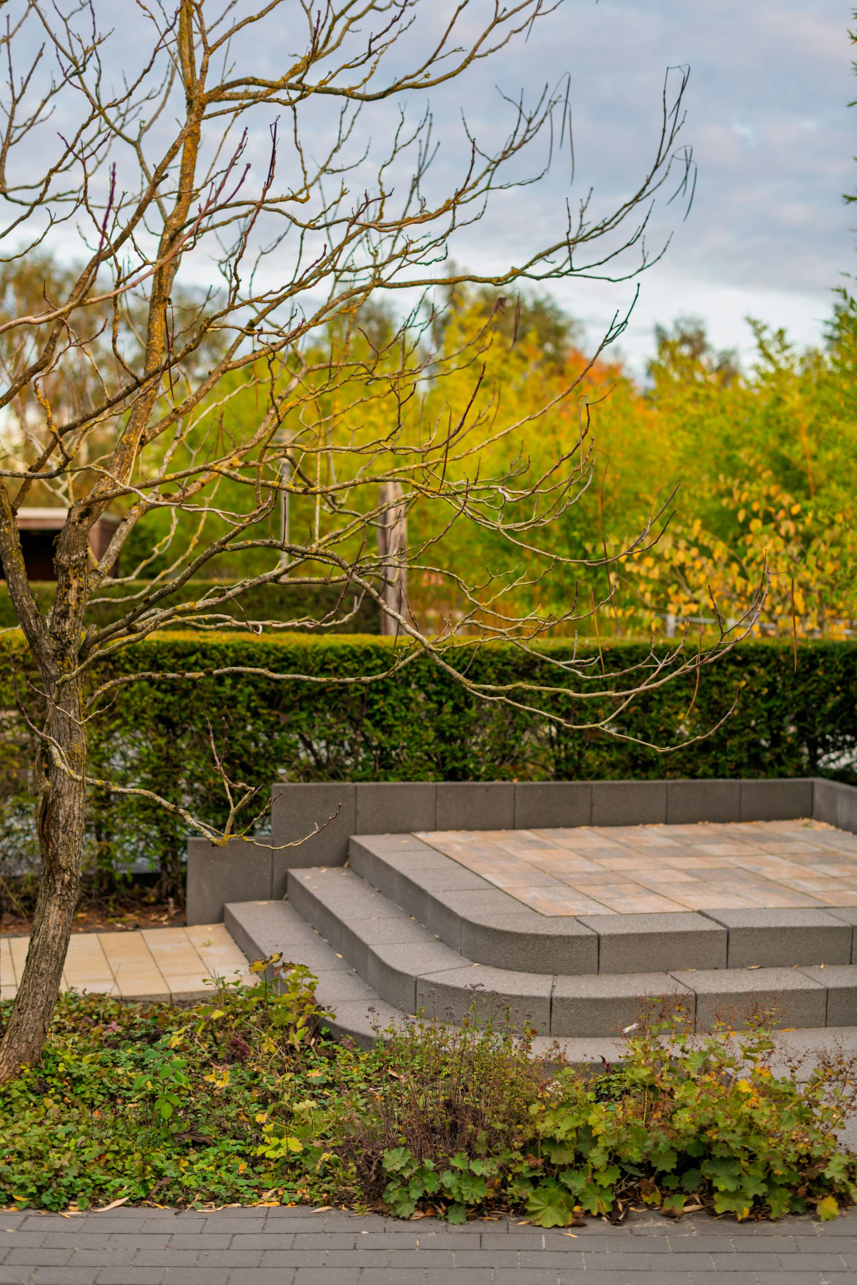 Curved stone steps lead to a paved patio area.