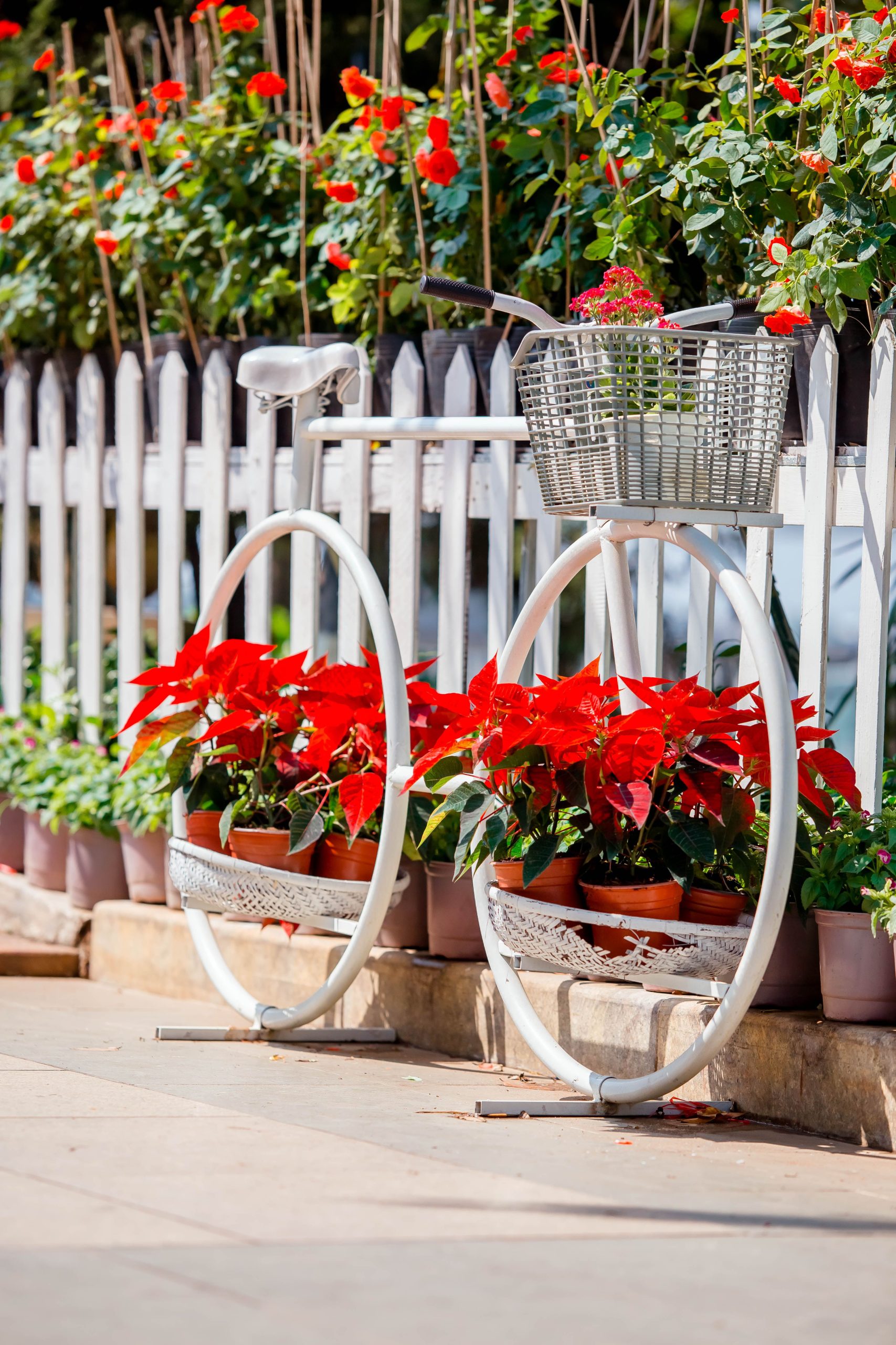 Decorative bicycle planter adorned with potted flowers against a white picket fence.