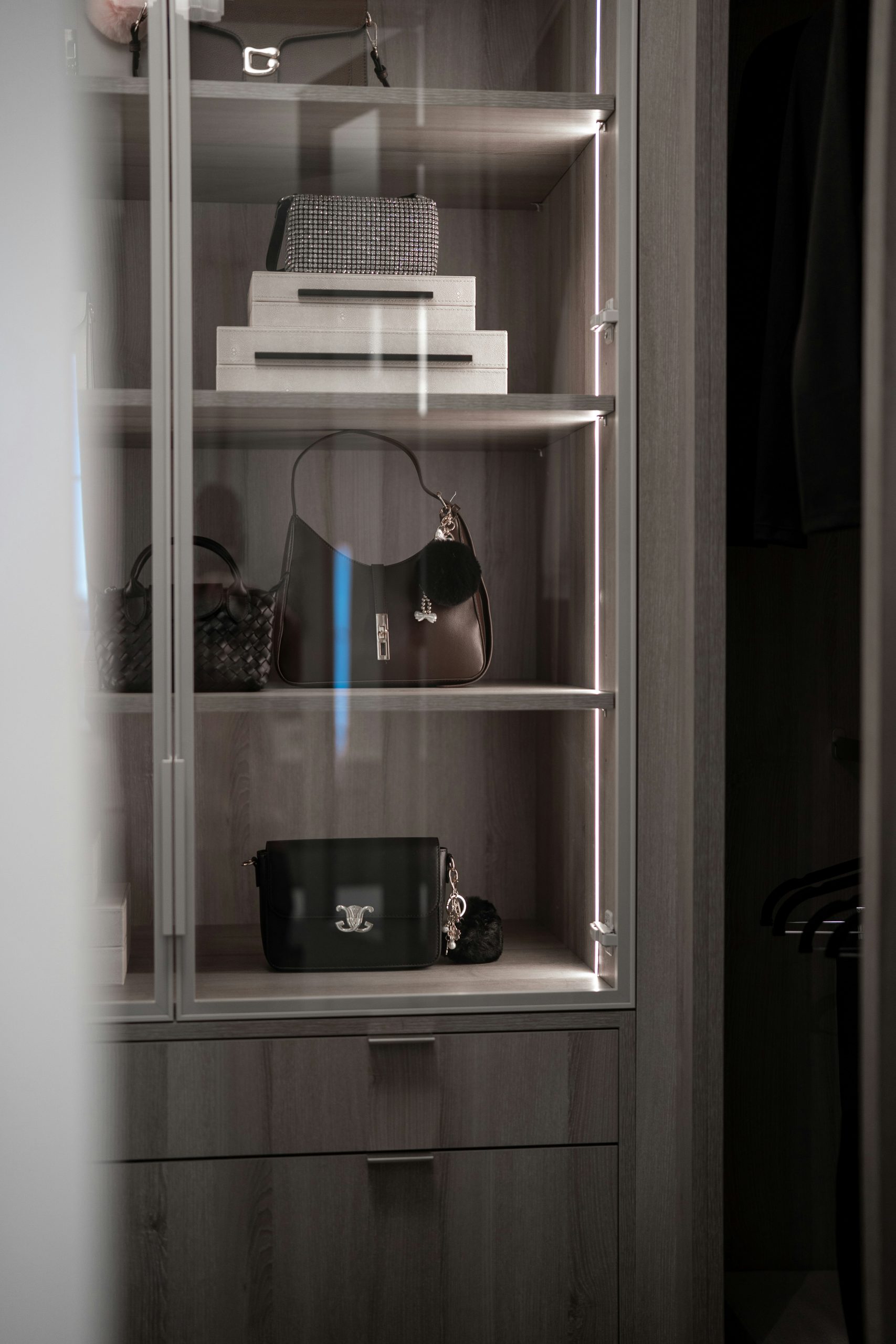 Designer handbags displayed in a modern closet