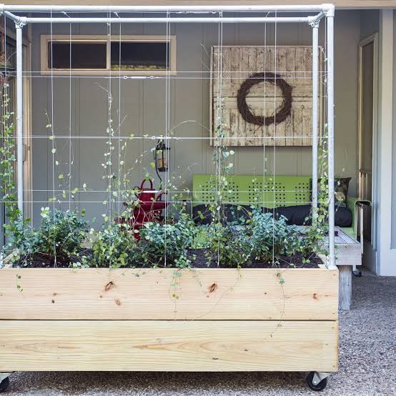 DIY Raised Planter Box With Built-in Trellis | HGTV