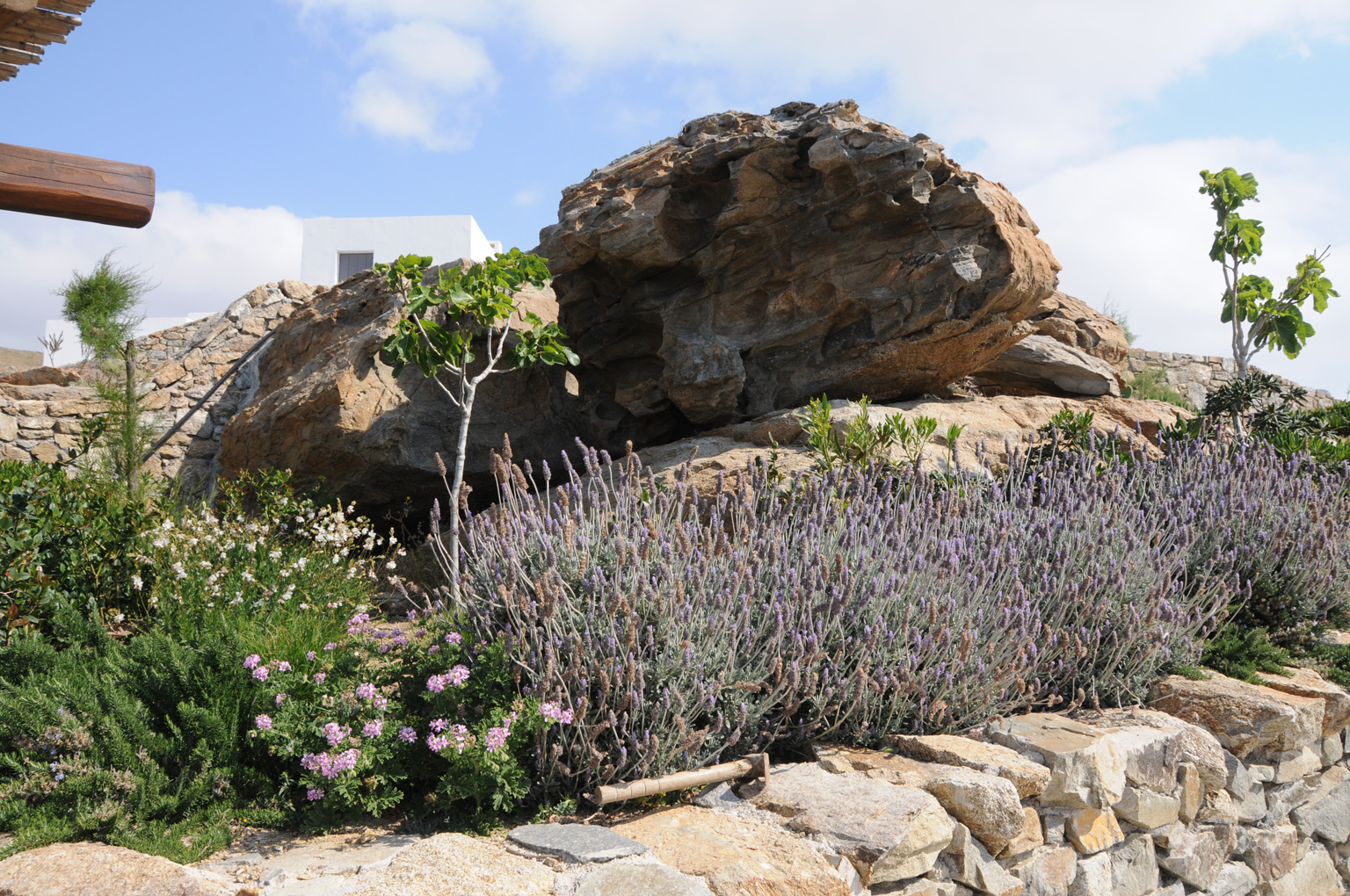 DRY MEDITERRANEAN GARDEN IN MYKONOS – Greenways Hellas