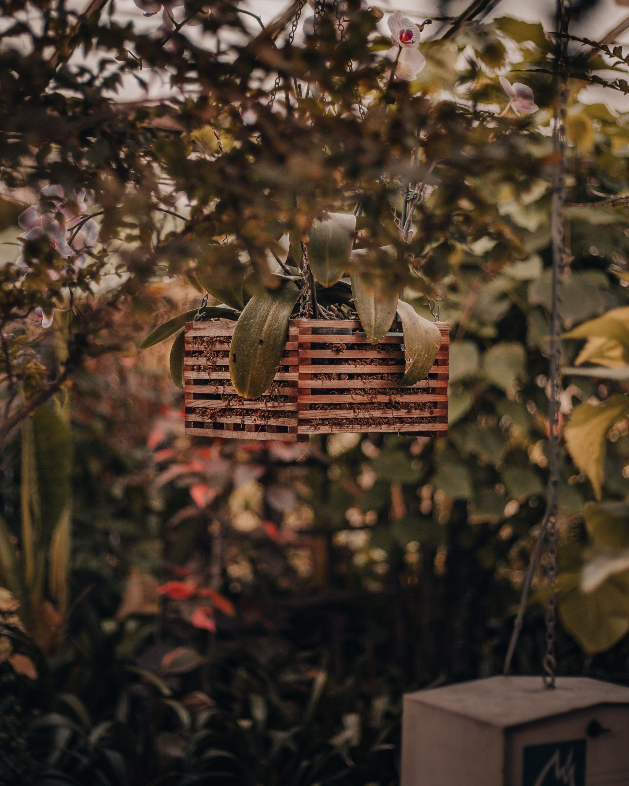 Elegant hanging wooden planter amidst verdant foliage in a serene garden.