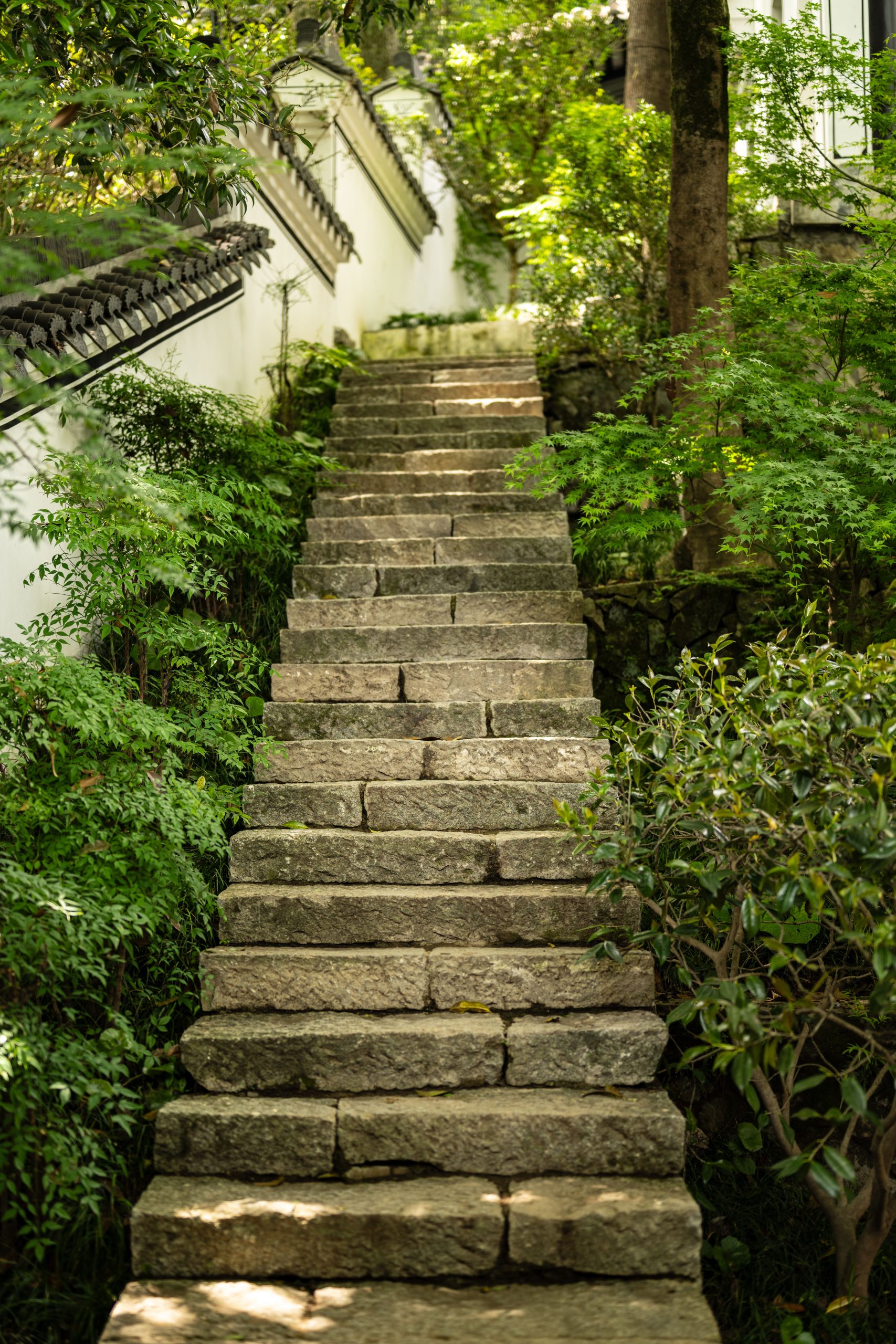 Elegant stone staircase surrounded by lush greenery, creating a serene garden atmosphere.