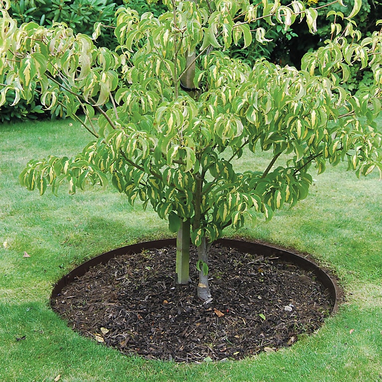 Everedge Tree Ring | Grandin Road