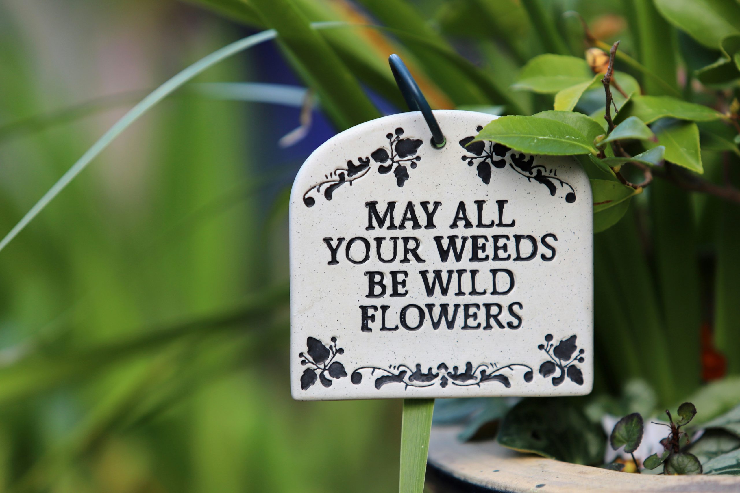 Every loved garden has its own art and philosophy - here’s a tiny plaque from a tiny garden.