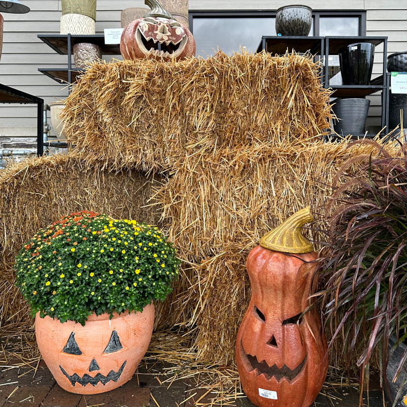 Fall Decor - Lurvey
