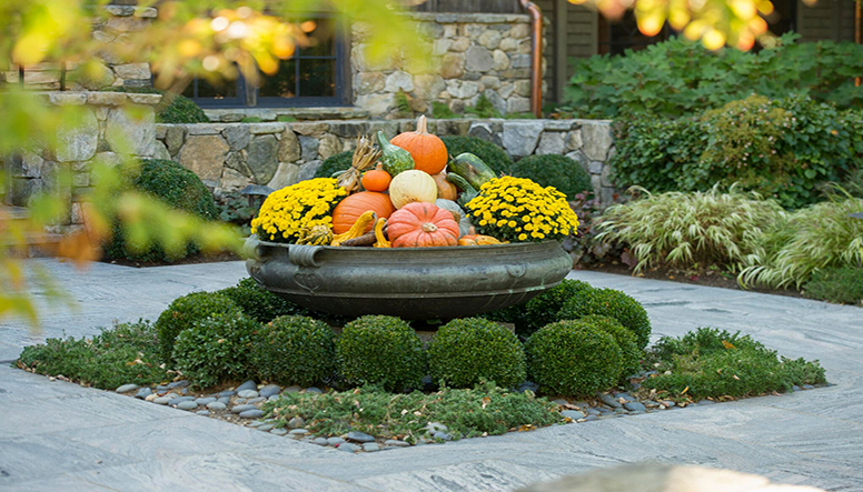 FALL: Landscape Decor