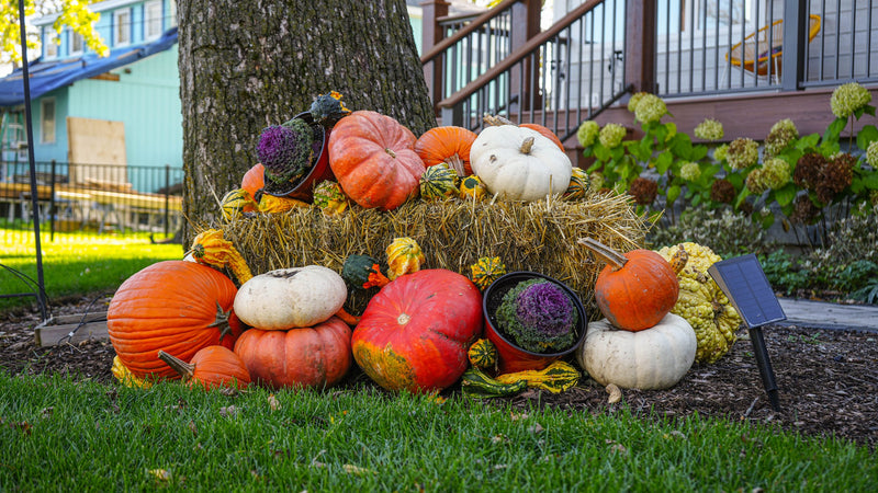 Fall Porch Display Gallery | Fall Into Pumpkins