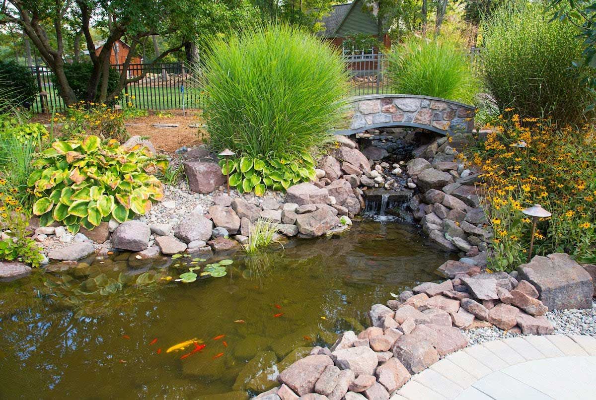 Fish Pond vs. Pondless Waterfall vs. Fountain: Landscape Design Options to Consider