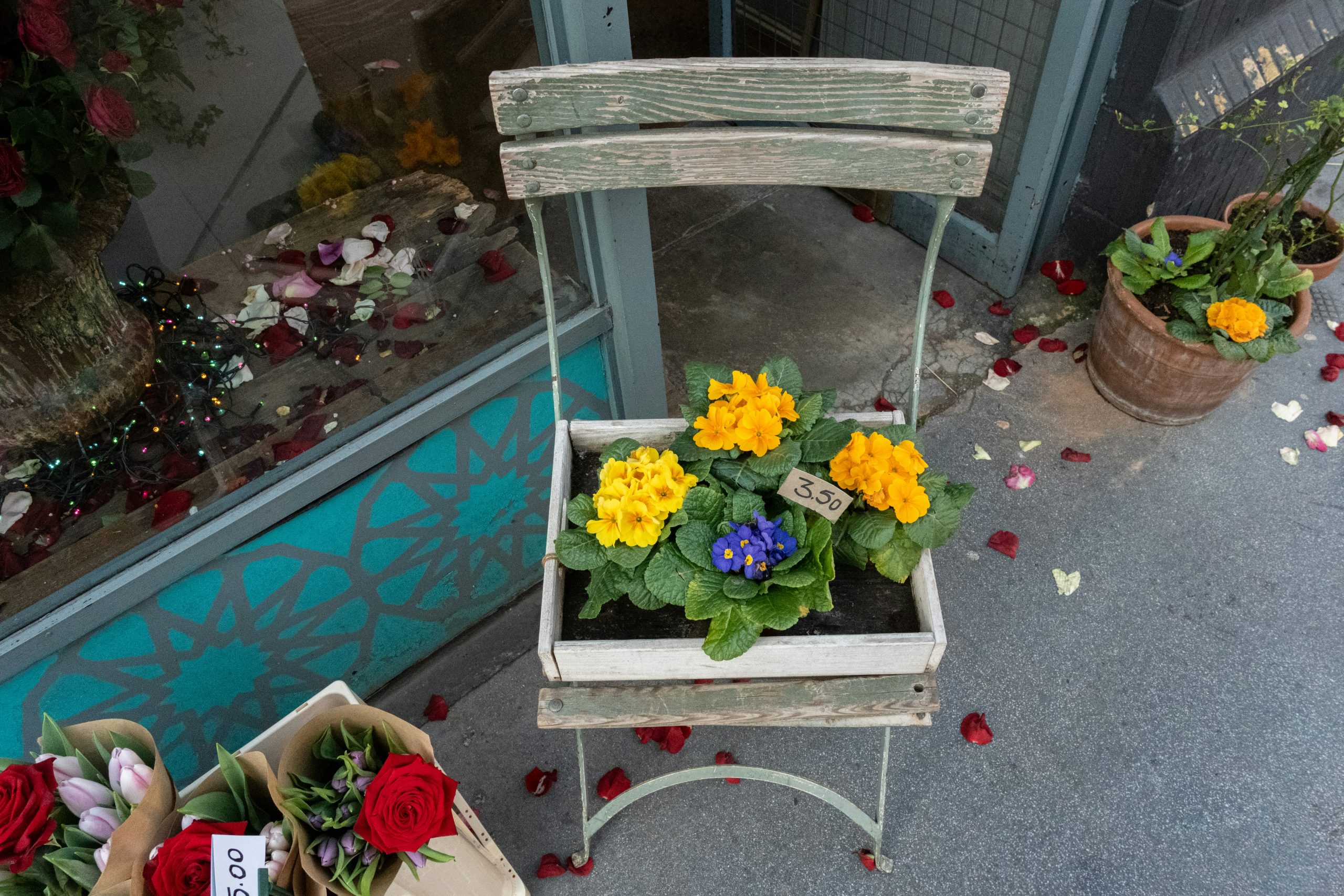 Flowers in a planter box, on a chair.