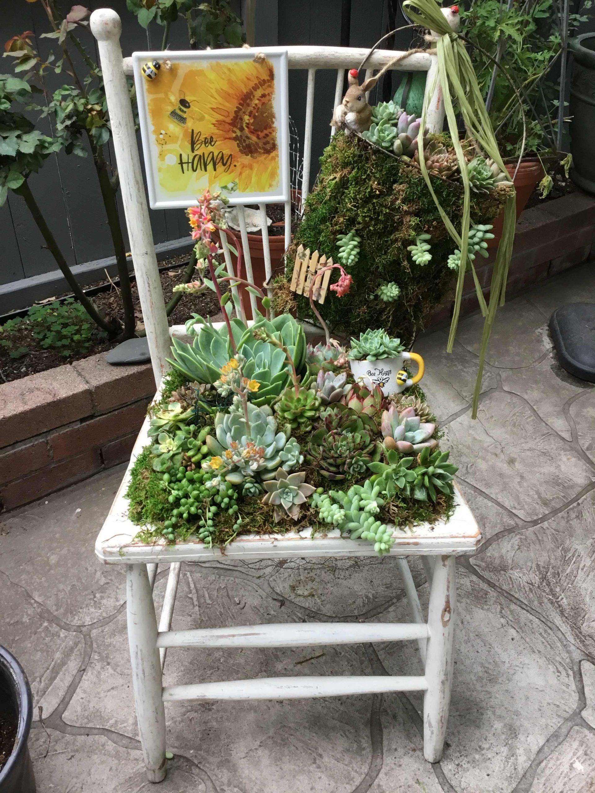 Garden Gathering Succulent Chairby Heaven Sent Design Floral Studio