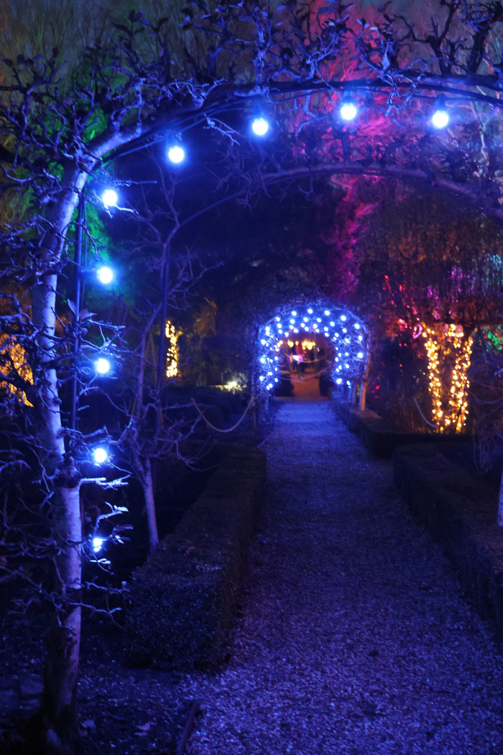 Garden path with illuminated archways and trees at night