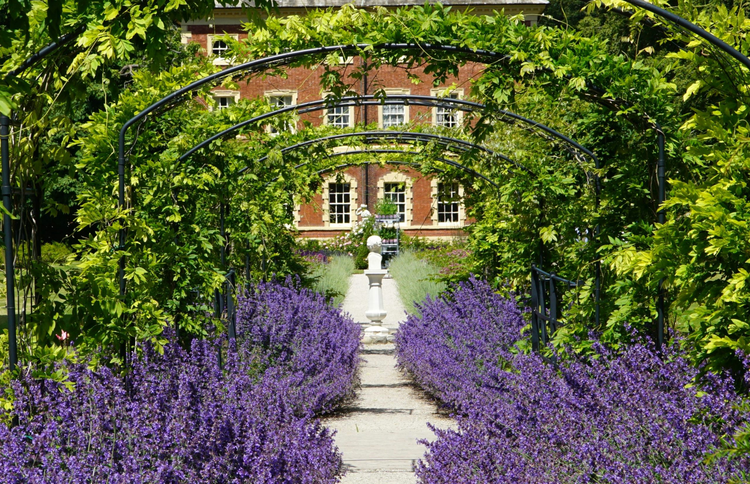 Garden Path with Lavender Borders.