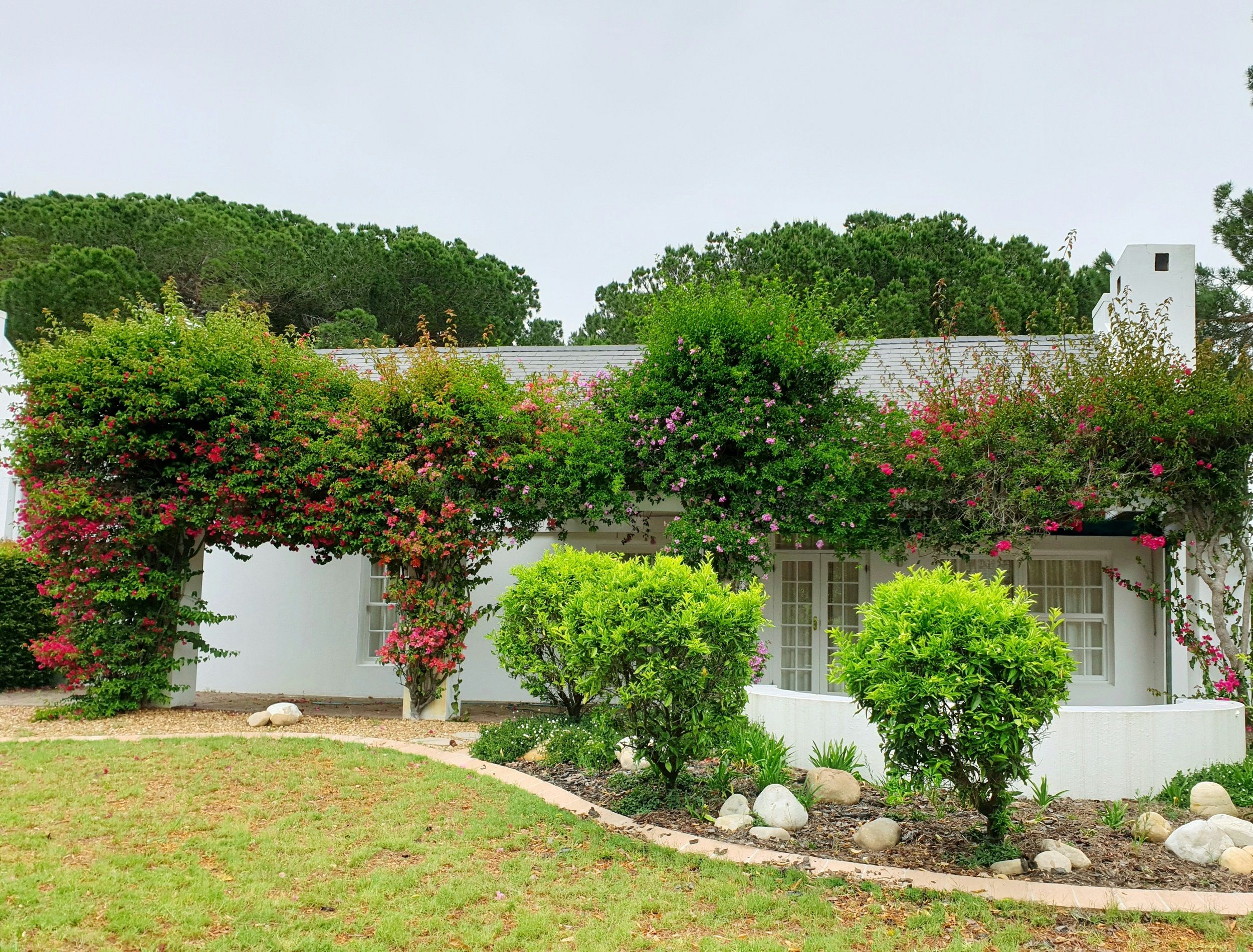 Give Garden Beds Distinction and Define Them With Edging