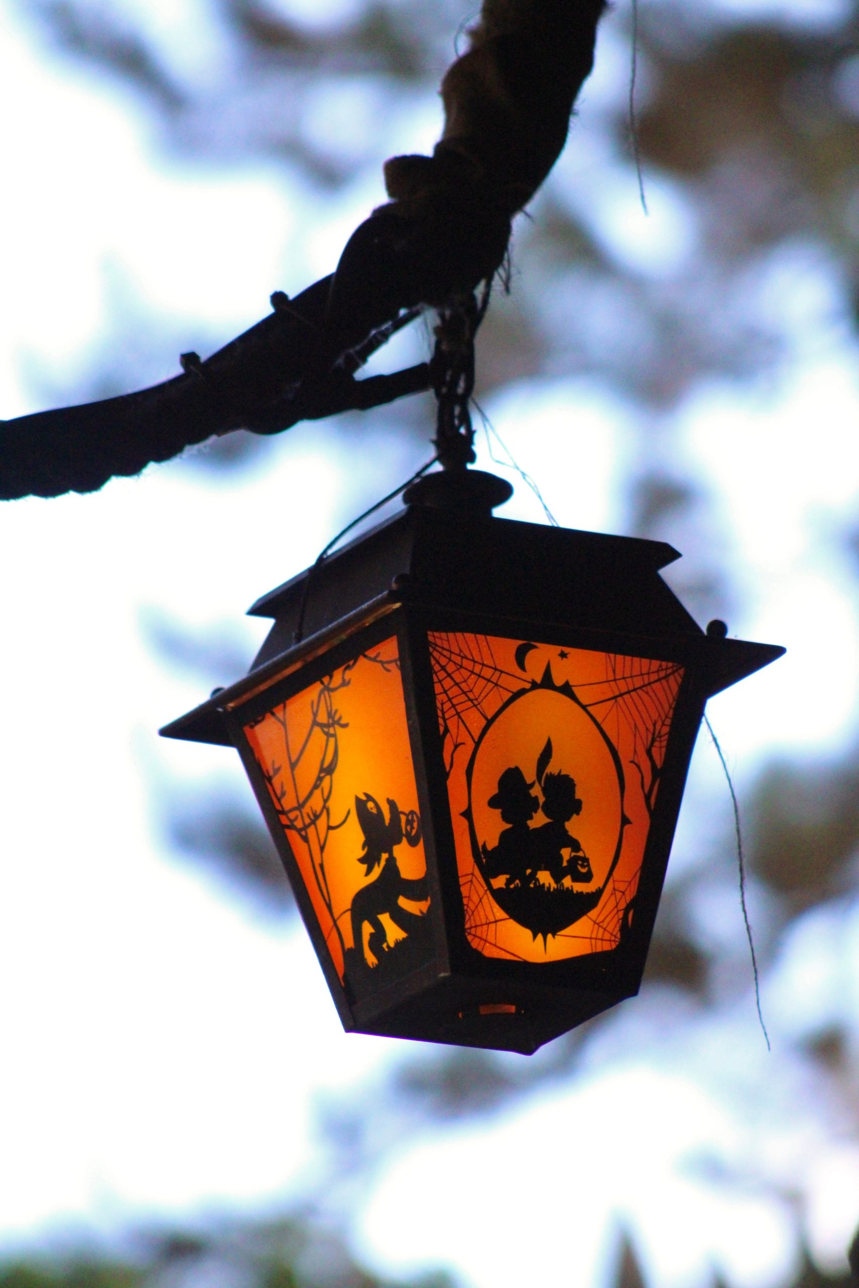 Glowing Halloween lantern with silhouettes of witches and cats, hanging outdoors.