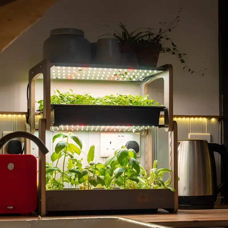 H-Mini Countertop Indoor Garden - ALS Survival Ltd