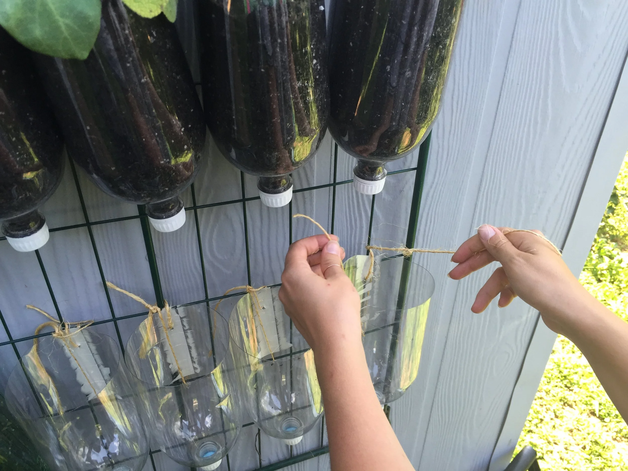 How to Build a DIY Vertical Garden — Sarah Lawrence