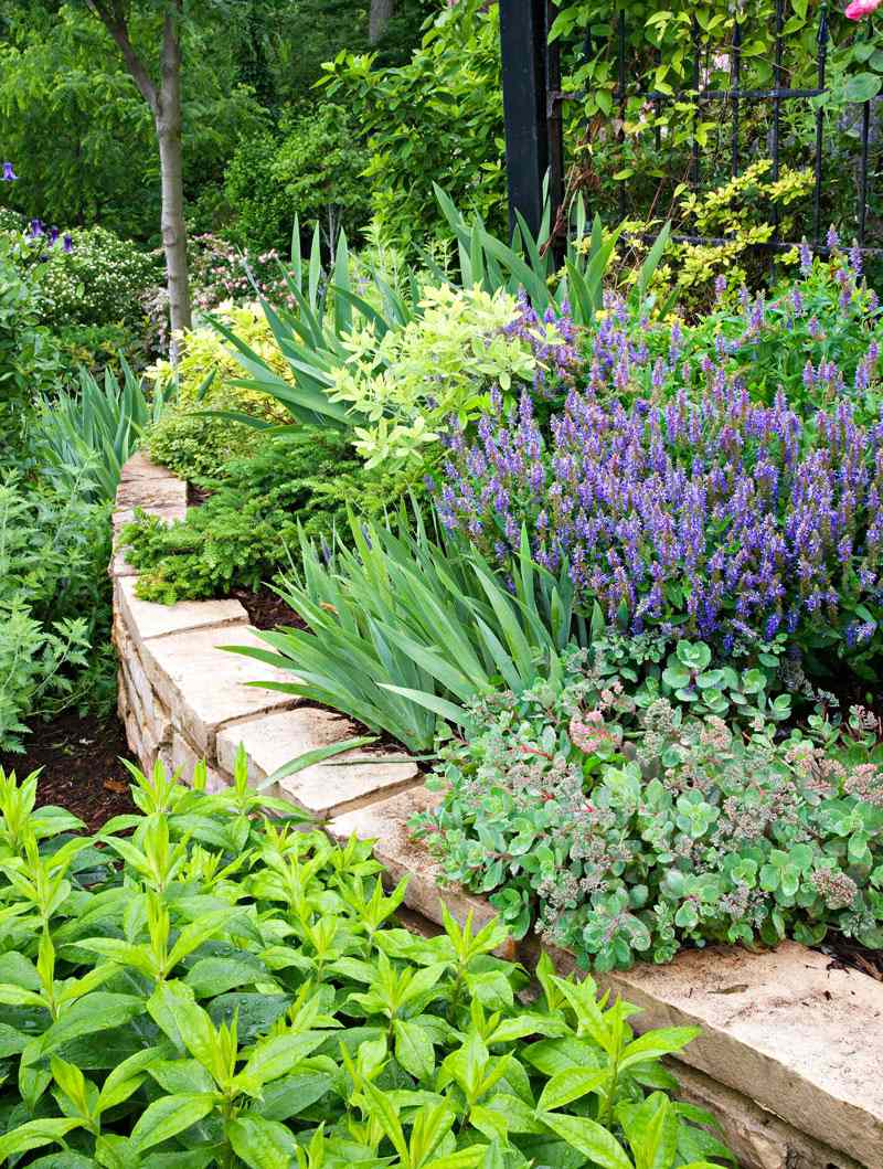 How to Garden on a Slope: The Best Plants and Tips to Beautify a Hilly Yard