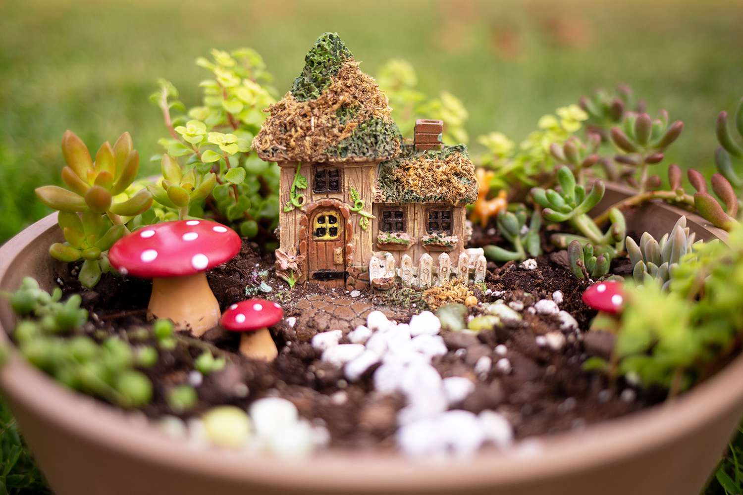 How to Make a Miniature Fairy Garden