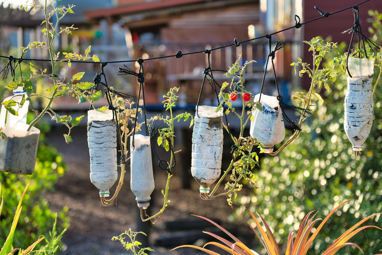 How to Make a Plastic Bottle Garden for Sustainable Gardening