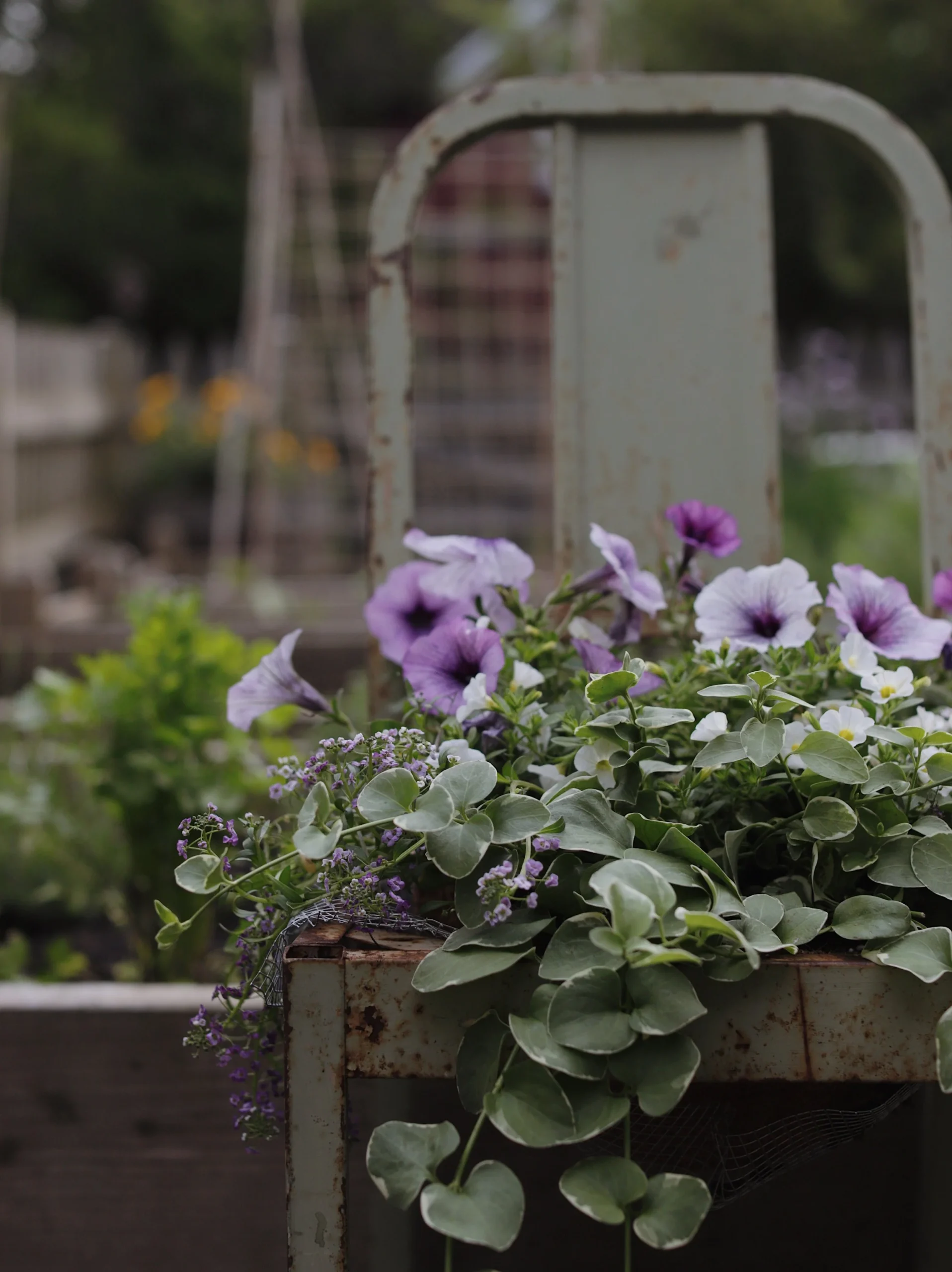 How to Make an Upcycled Chair Planter — simply living well