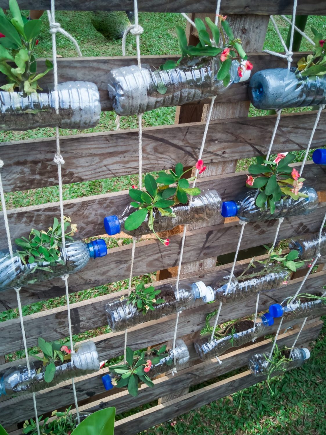 How to Start a Vertical Garden at Home | Park Road Timber and Hardware