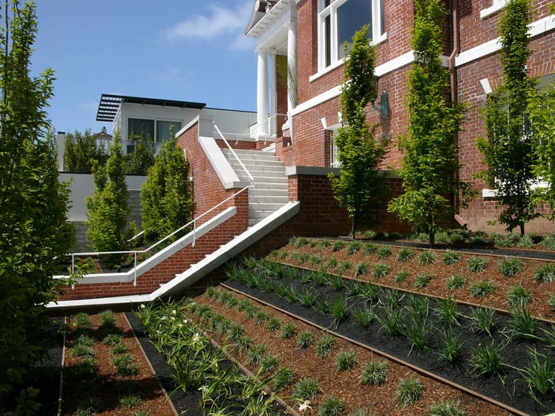 How To Turn A Steep Backyard Into A Terraced Garden