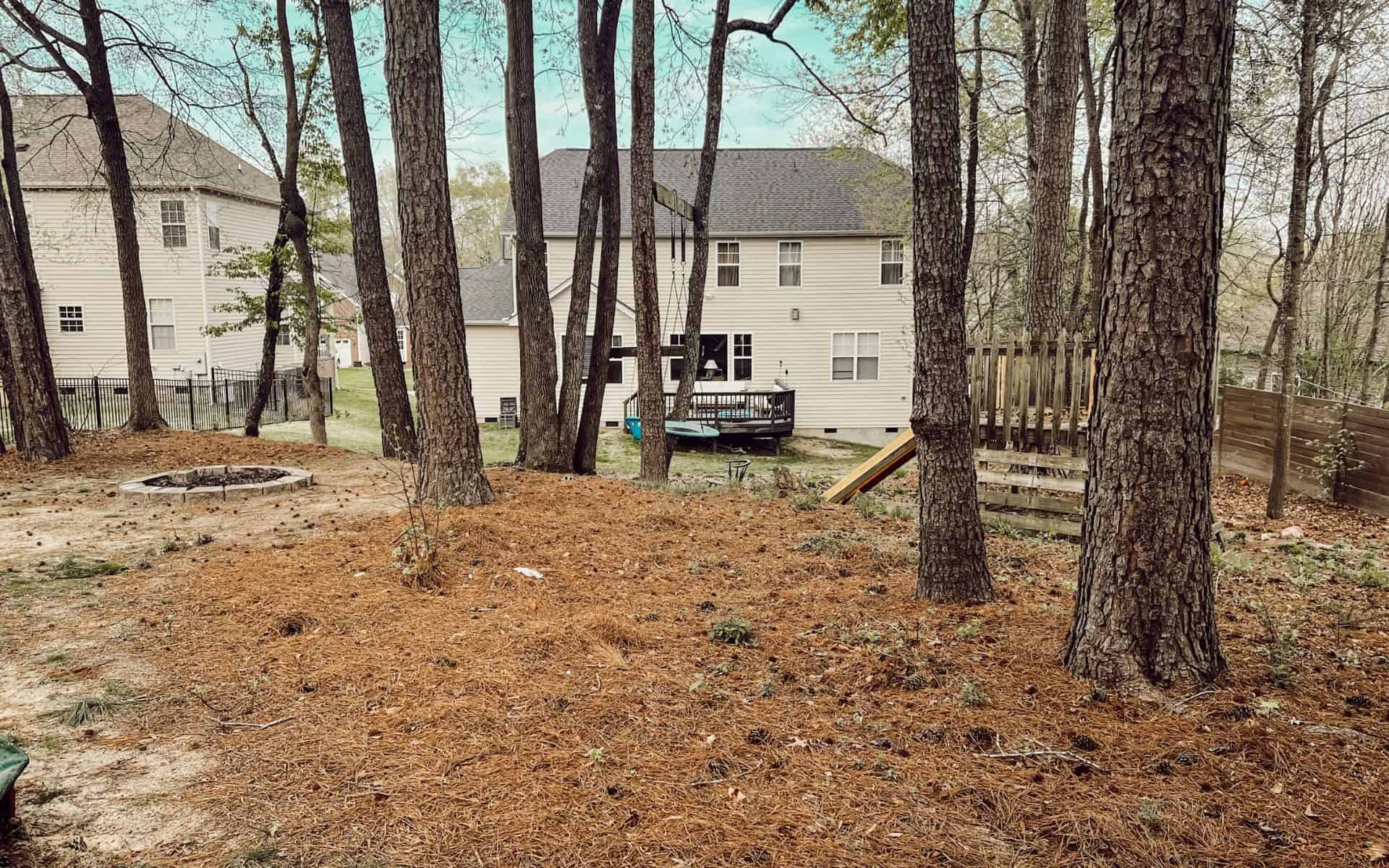 How We Transformed Our Sloped Backyard on a Budget - Cassie Jean