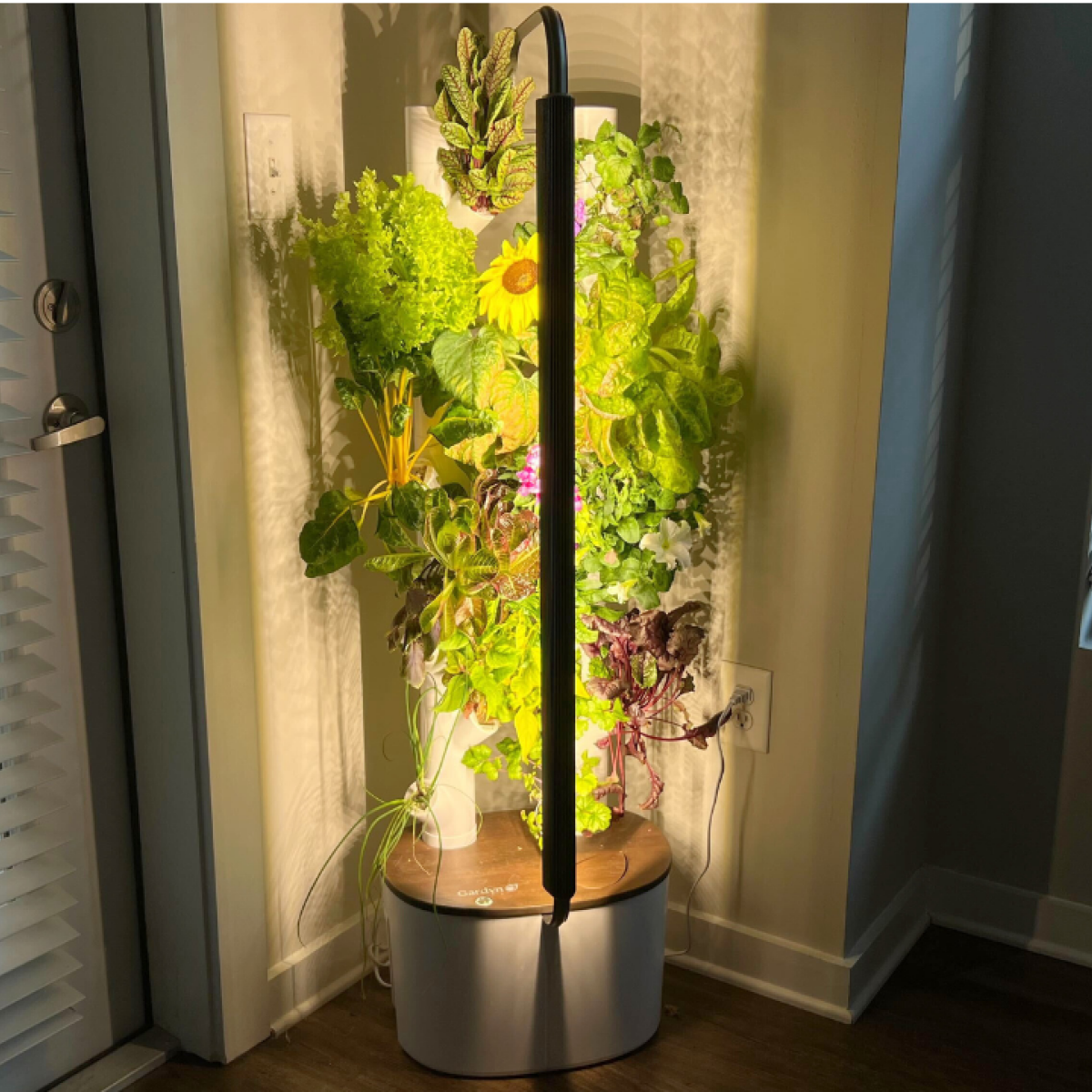 I used Gardyn to grow my own produce in my apartment for 3 months | Mashable