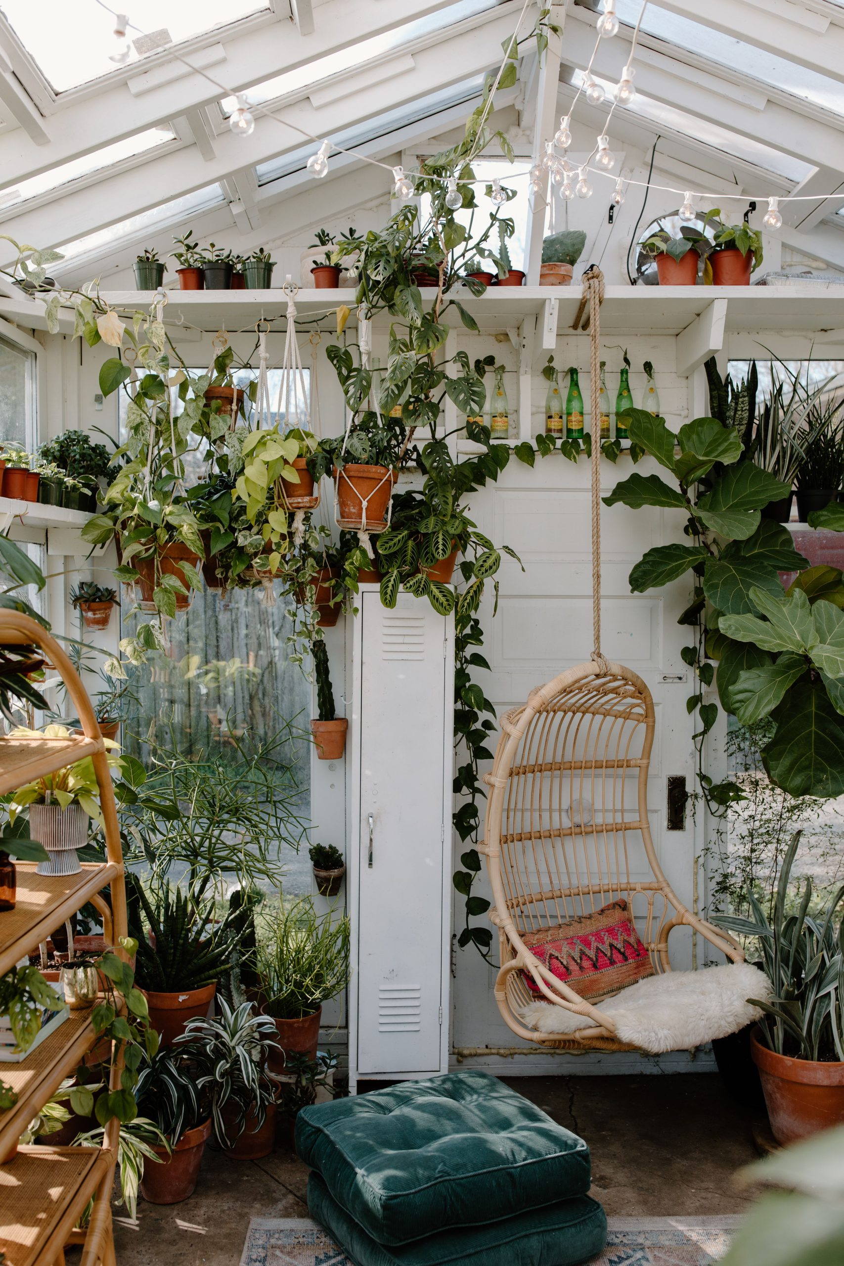 Inviting indoor greenhouse space with lush plants and a wicker chair.