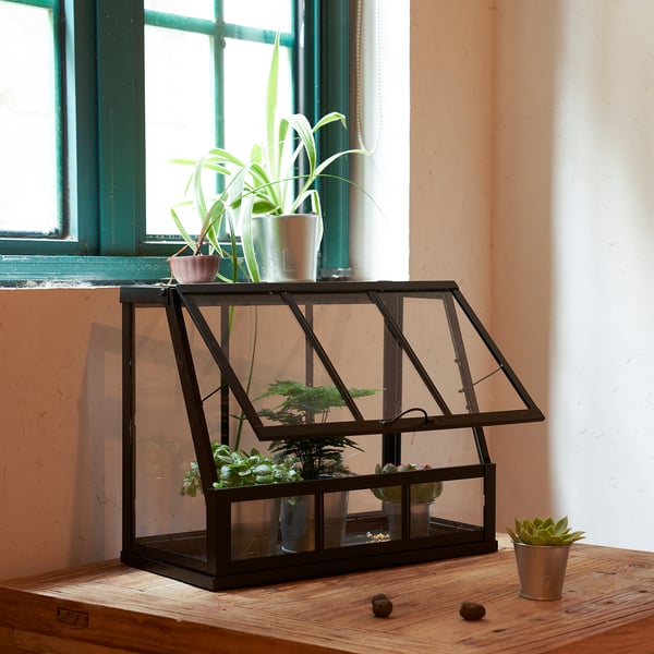 ÅKERBÄR greenhouse, indoor/outdoor/anthracite, 17 ¾' - IKEA