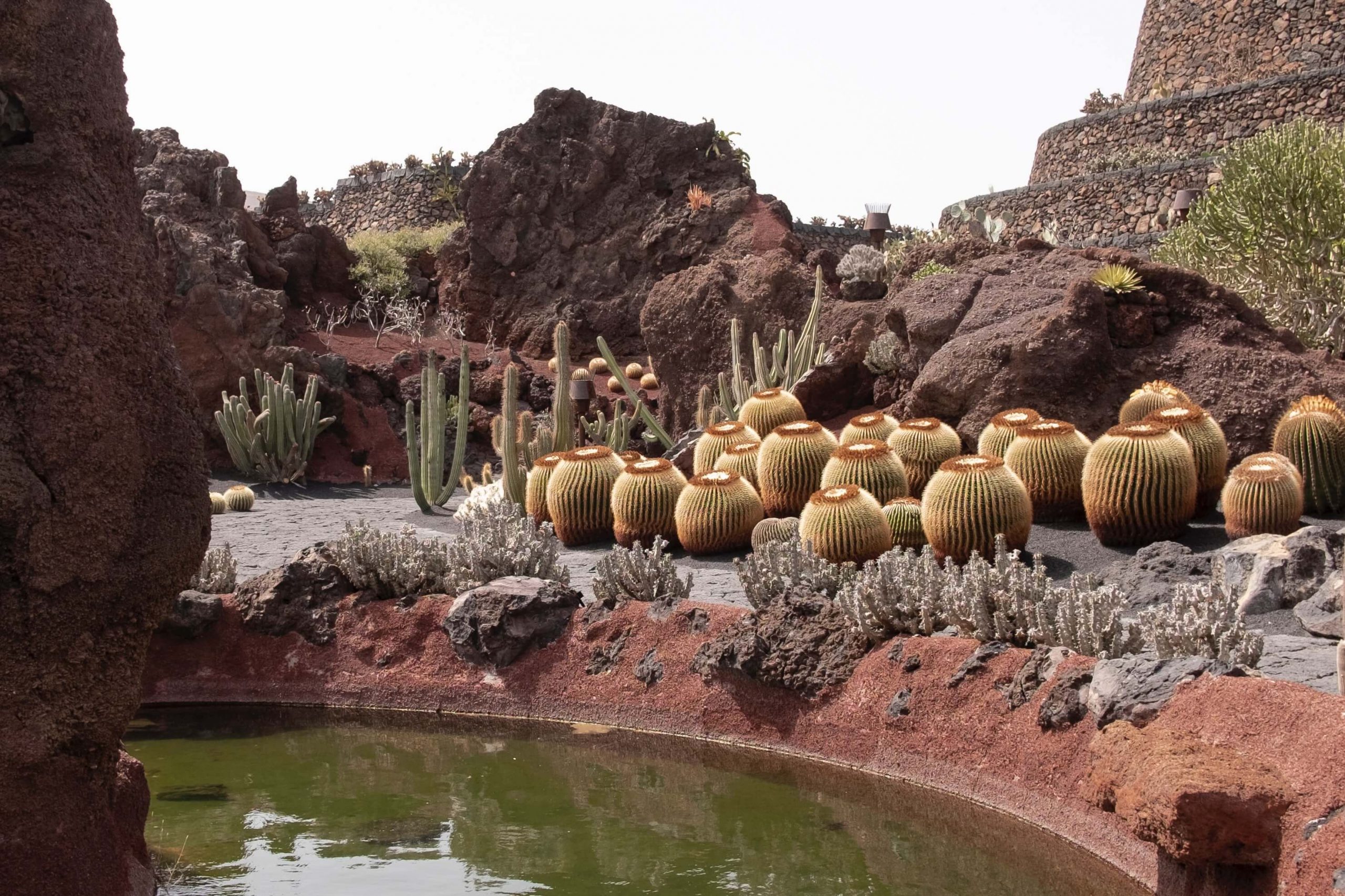Landscape Design Ideas For a Desert Climate | Civil Solutions Group