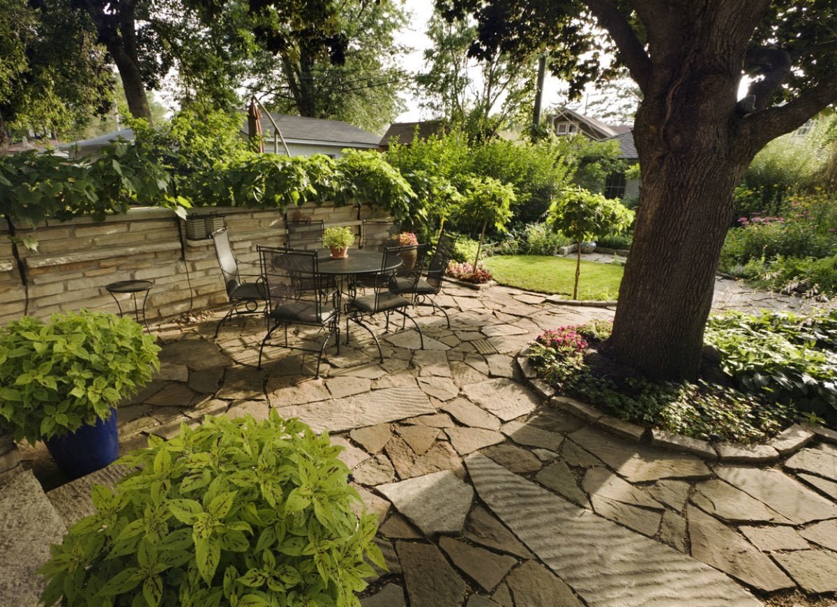Landscaping Around Trees: 12 Secret Tips for Pro Results