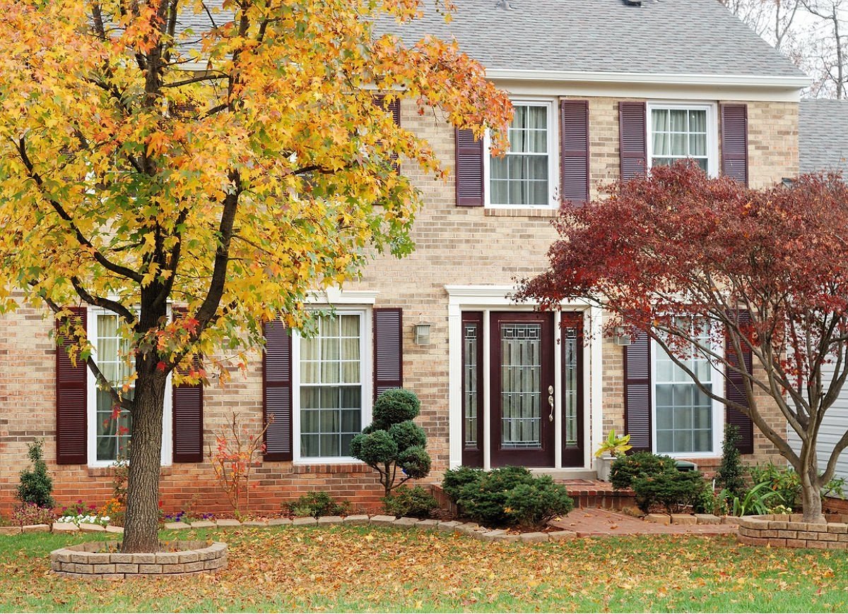 Landscaping Around Trees: 12 Secret Tips for Pro Results