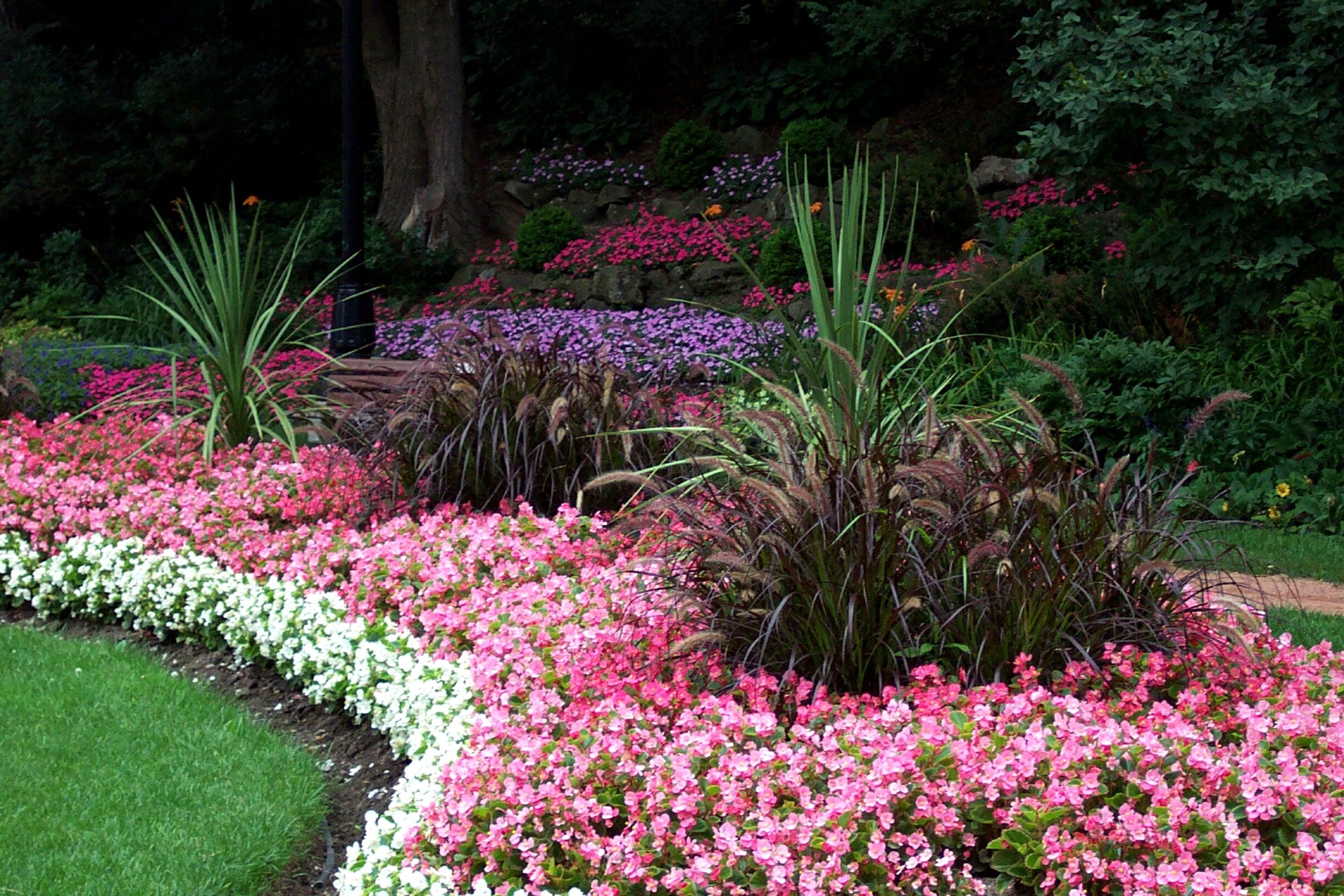Landscaping Around Trees Ideas | Arbor Hills Trees & Landscaping