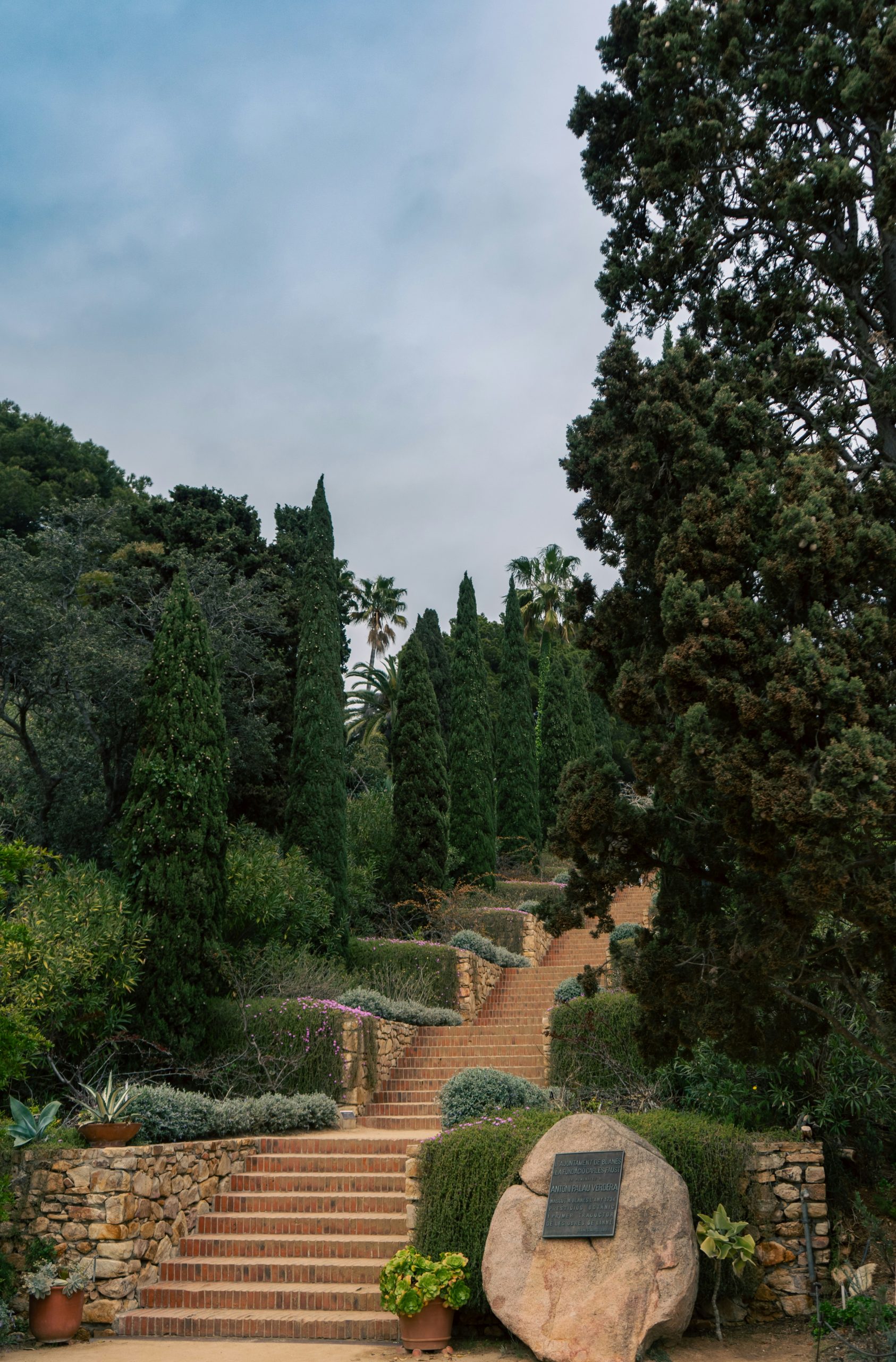 Lush Mediterranean garden with a scenic stone staircase lined by cypress trees and ornamental plants. A serene and elegant landscape, perfect for luxury travel, nature retreats, and wellness-themed vi