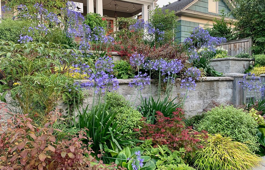 Make the grade: Tips for planting in a sloped yard | The Seattle Times