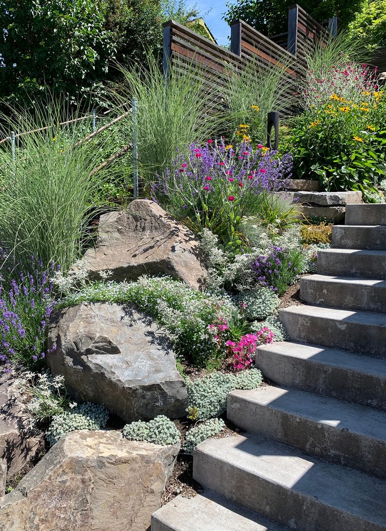 Make the grade: Tips for planting in a sloped yard | The Seattle Times