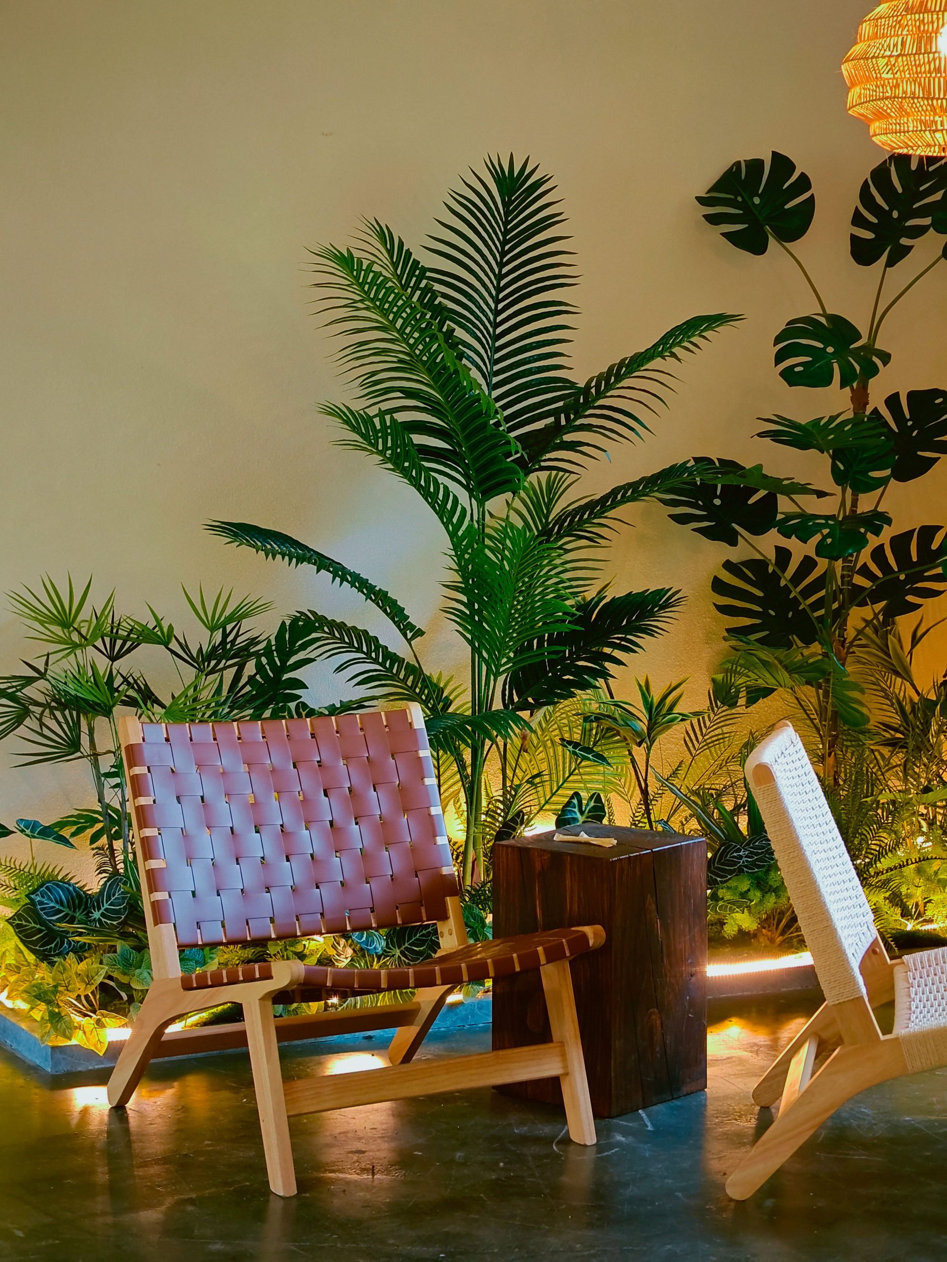 Modern lounge with woven chairs and tropical plants, perfect for relaxation.