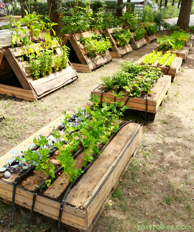 Pallet Garden - Foxy Folksy