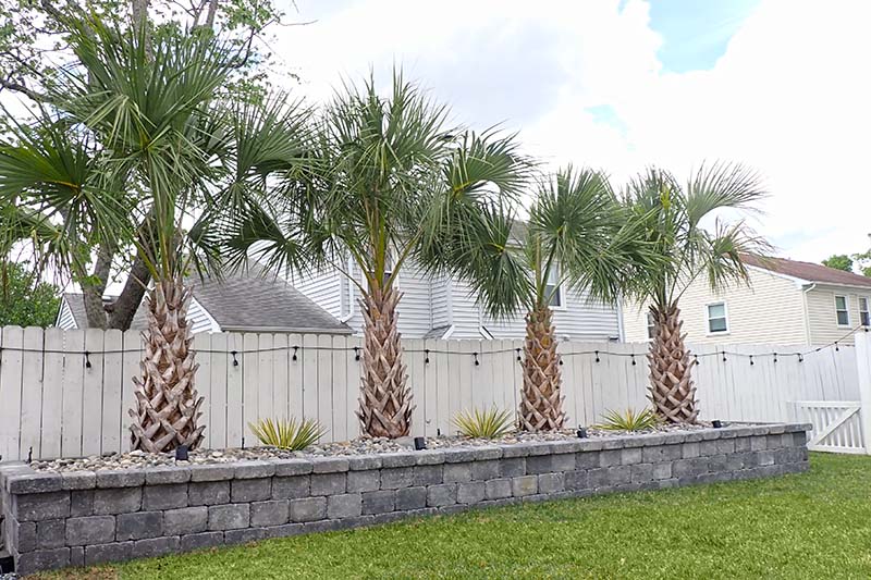 Pavers, Borders & Metal Edging | Dr. Dan's Landscaping & Design - Virginia Beach, VA, Chesapeake, VA |