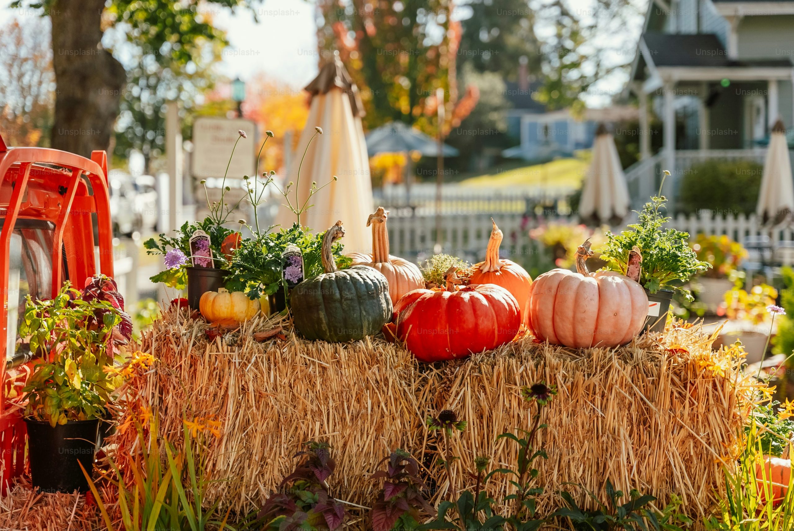 Pumpkins displayed on hay bales outdoors photo – Free Autumn Image on Unsplash