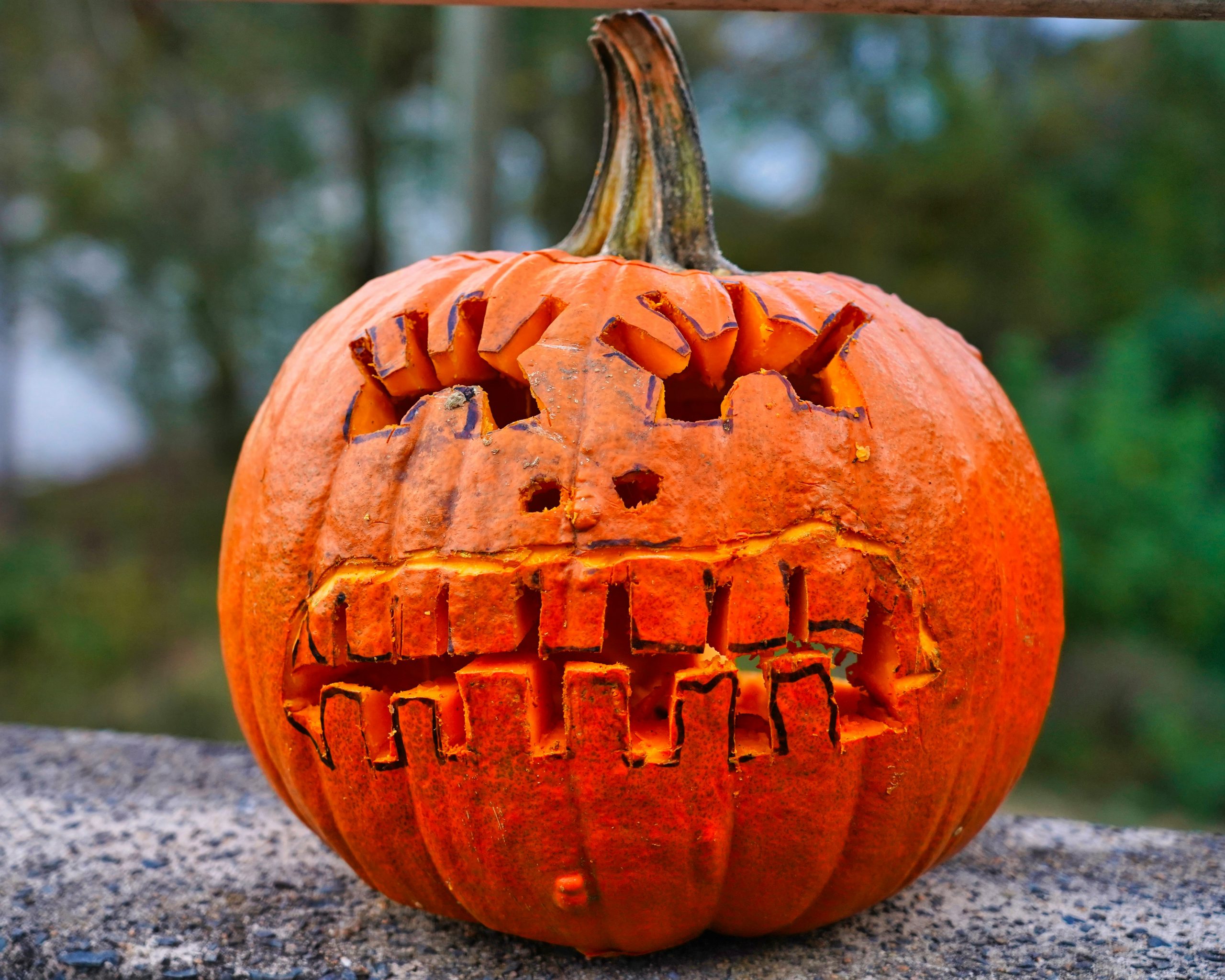 Pumpkins on the old Bynum Bridge sponsored by the community nonprofit Bynum Front Porch, is a popular Halloween event that showcases hundreds of Jack-O-Lanterns.
