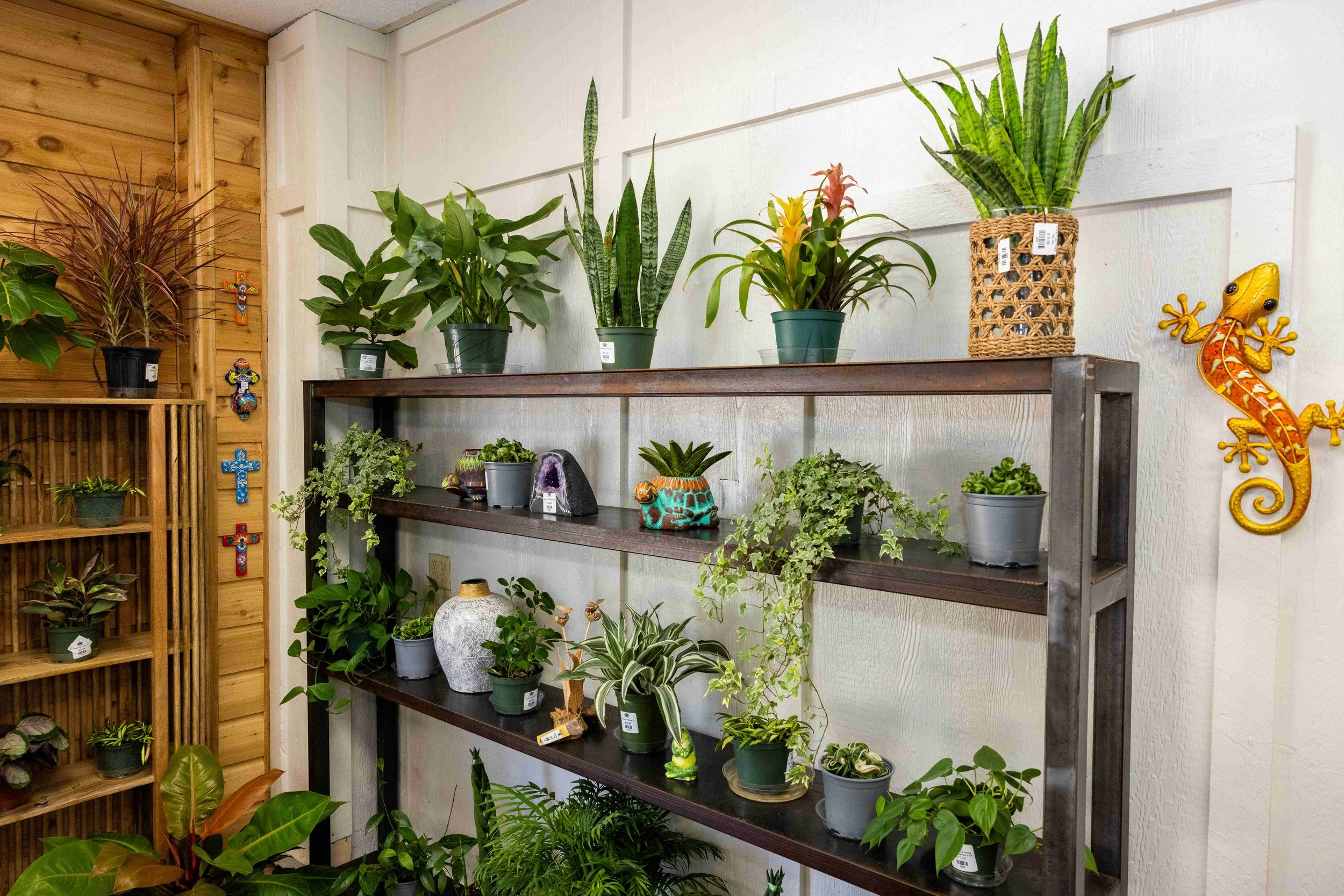 Rolke Greenhouses and Garden Center — Rolke Greenhouses