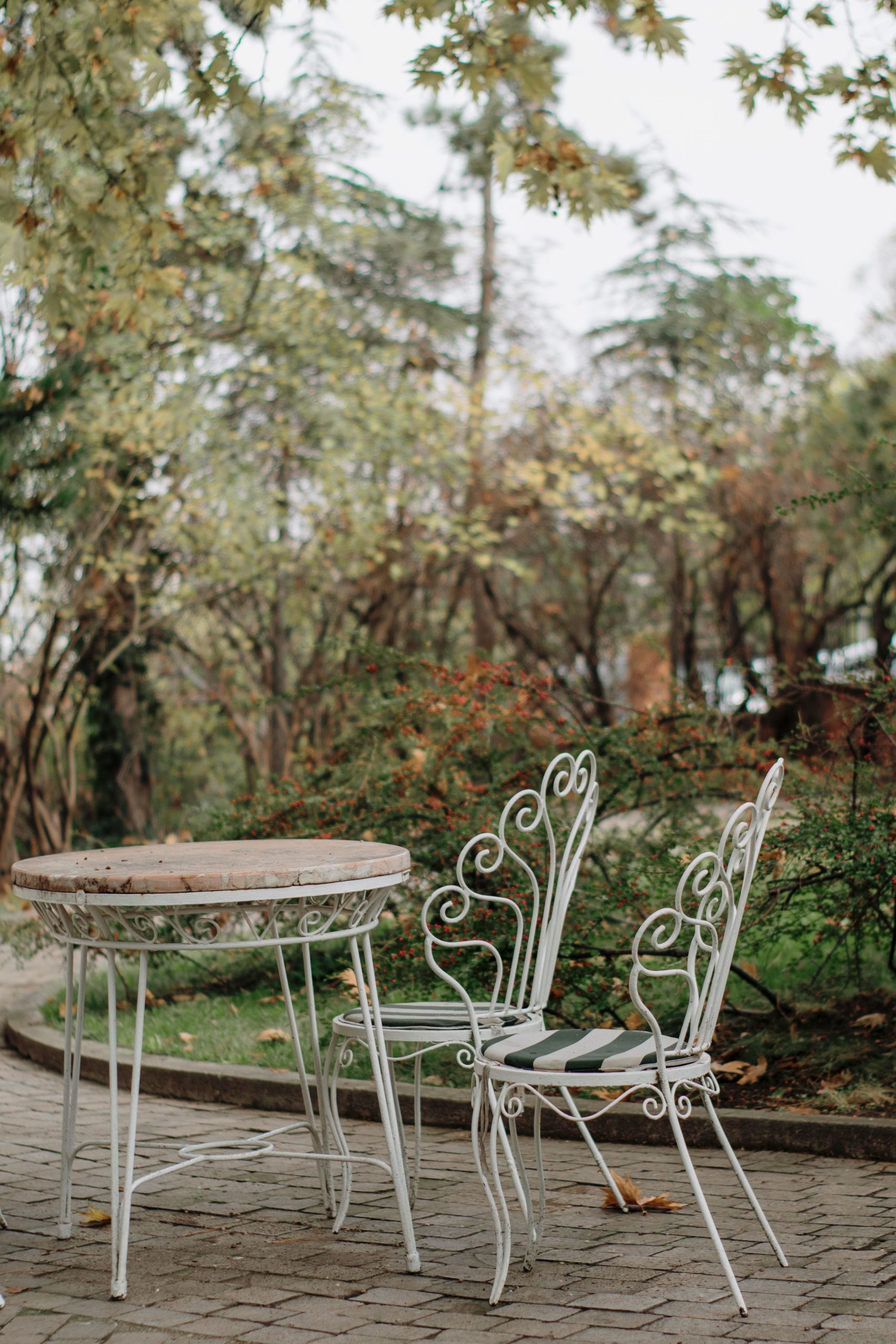 Romantic scene of vintage metal chairs and table in a peaceful garden setting.