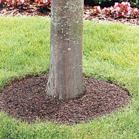 Rubberific® Tree Rings 24in, Red, Box of 3